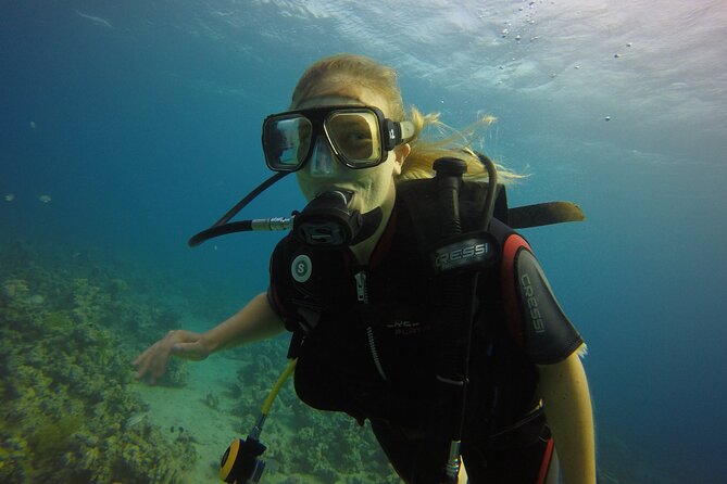 Discover the Coral Reefs in Aqaba - Scuba Experience for Beginners - Whats Included