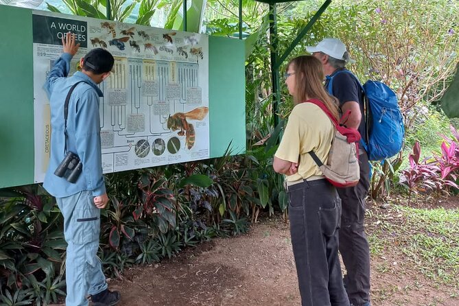 Discover the Costa Rican Essence Coffee, Chocolate and Honey - Tour Details and Inclusions