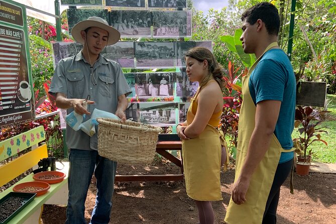 Discover the Costa Rican Essence Coffee, Chocolate and Honey - Accessibility and Additional Information