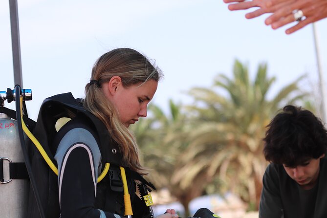 Discover the Depths: Aqabas Ultimate Private Dive Experience - Taking in the Vibrant Coral Reefs