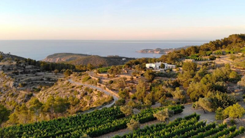 Discover the Essence of Ibiza'S Rich Wine Culture - Key Points