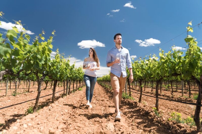 Discover the Essence of Ibiza'S Rich Wine Culture - Tasting the Local Flavors