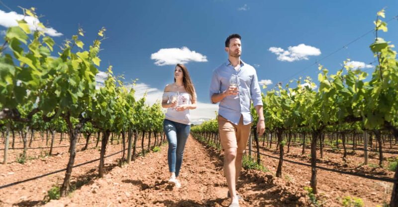 Discover the Essence of Ibiza'S Rich Wine Culture - Traditional Winemaking Techniques