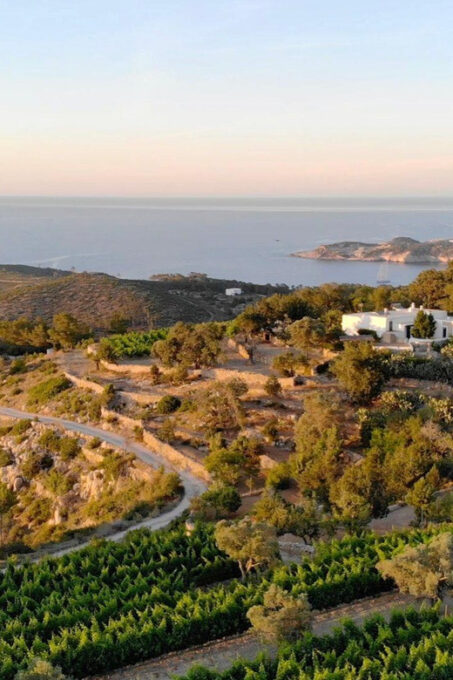 Discover the Essence of Ibiza'S Rich Wine Culture - Outdoor Terrace for Tasting