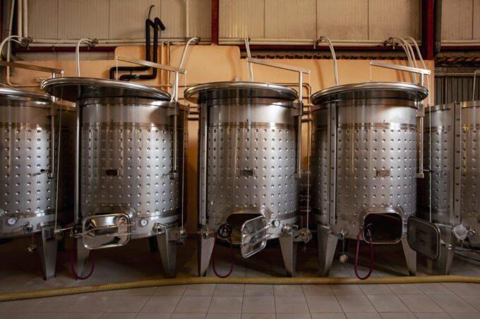 Discover the Essence of Ibiza'S Rich Wine Culture - Positive Customer Experiences