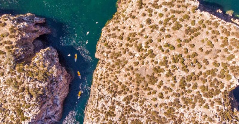 Discover the Grottos and Caves in a SUP Guided Tour - Experience Highlights