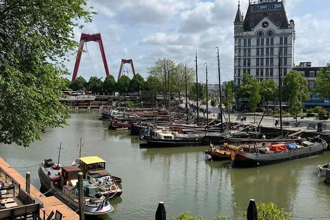 Discover the Hague, Delft & Rotterdam in a Day, With Lunch! - Booking and Pricing