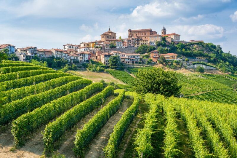 Discover the Heart of Alba and Barolo Reggion - Itinerary Highlights