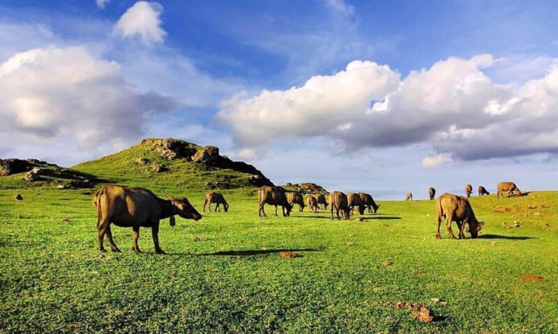 Discover the Heart of Lombok: An Authentic Sasak Tour - Frequently Asked Questions