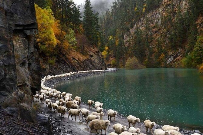 Discover the Highland Majesty: 4-Day Tusheti Trekking Escape - Accommodation and Dining Options