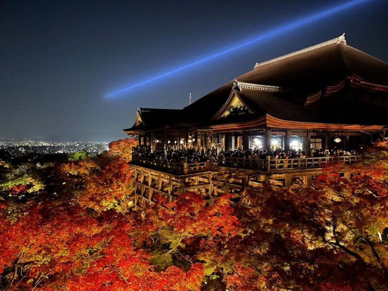 Discover the Highlights in Kyoto & Nara in 3 DAYS ! - Key Points