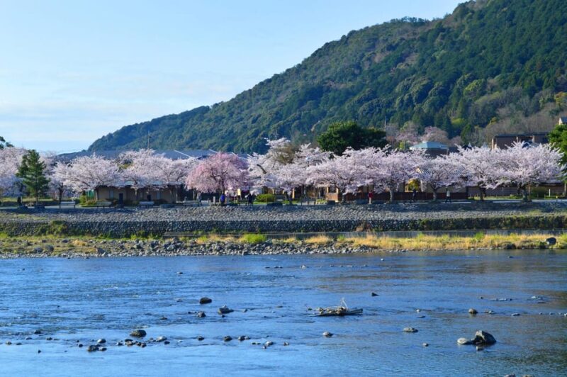 Discover the Highlights in Kyoto & Nara in 3 DAYS ! - Day 2 Highlights
