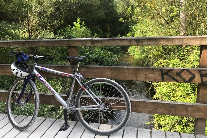 Discover the Highlights of Gijon by Bike - Key Points