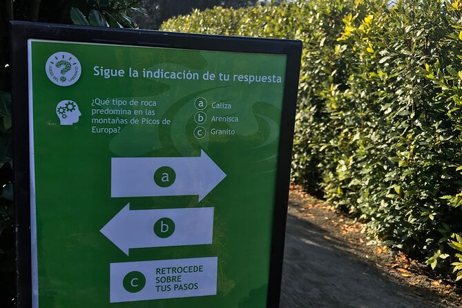 Discover the Highlights of Gijon by Bike - Tour Duration and Pace