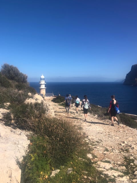 Discover the Island Dragonera by Kayak and on Foot - Getting There