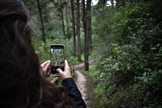 Discover the Lake Agnes Tea House Trail With a Guided Audio Hike - Additional Information