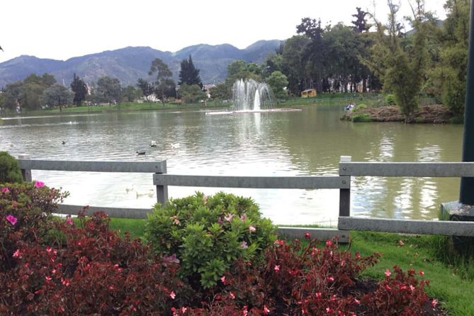 Discover the Largest Urban Park in the World - Preparing for the Visit