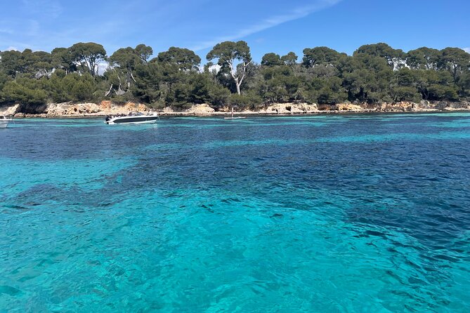 Discover the Lérins Islands and the Bay of Cannes by Private Boat - Tour Duration and Price