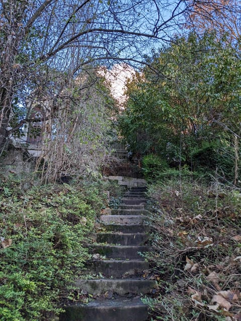 Discover the Living Beauty of Père-Lachaise - Nature and Wildlife