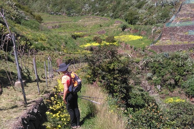 Discover the Lost Paradise of Anaga in Tenerife - Overview of the Anaga Rural Park
