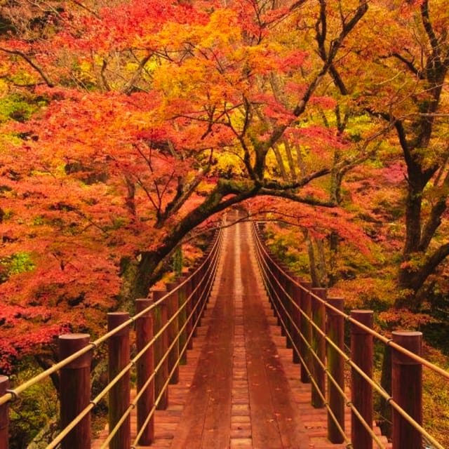Discover the Magic of Autumn in Ibaraki! - Meeting Point and Directions