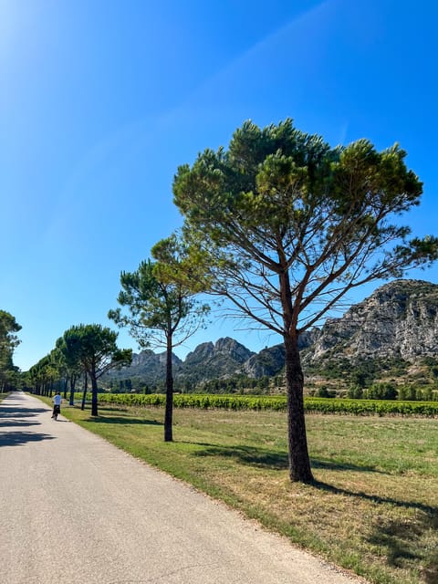 Discover the Massif Des Alpilles by Bike - Key Points