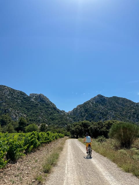 Discover the Massif Des Alpilles by Bike - Itinerary and Attractions
