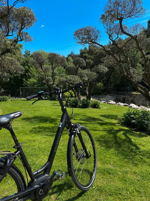Discover the Massif Des Alpilles by Bike - Participant Restrictions