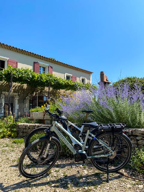 Discover the Massif Des Alpilles by Bike - Booking and Availability