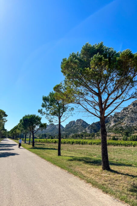 Discover the Massif Des Alpilles by Bike - Frequently Asked Questions