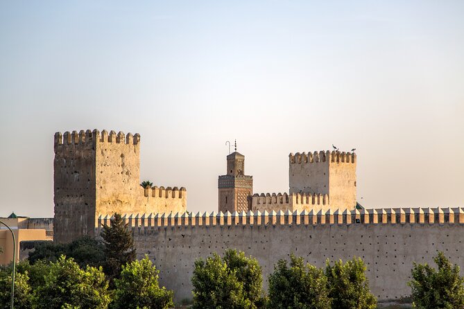 Discover the Medina of Fez and It Secrets: Fez Medina Guided Day Tour - Experiencing the Bustling Souks