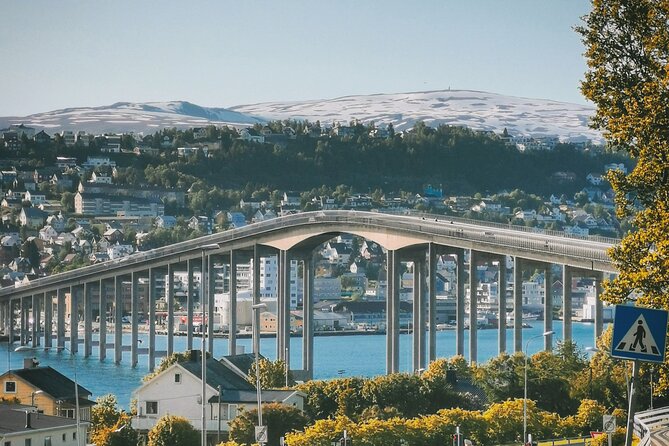 Discover the Most Photogenic Spots of Tromsø With a Local - Quirky Street Art Murals