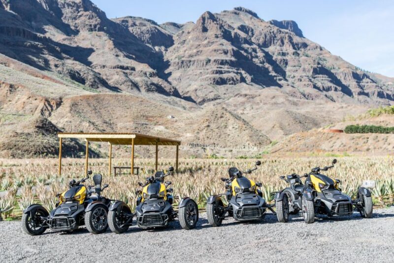 Discover the Mountain (Maspalomas-Fataga) on a Can-Am Ryker - Key Points