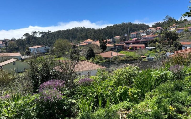 Discover the Paradise Valley - a Quick Escape for Everyone - Natural Highlights