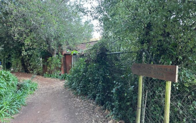 Discover the Paradise Valley - a Quick Escape for Everyone - Accessibility and Transport