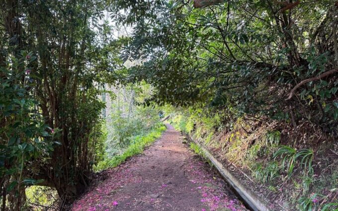 Discover the Paradise Valley - a Quick Escape for Everyone - Frequently Asked Questions
