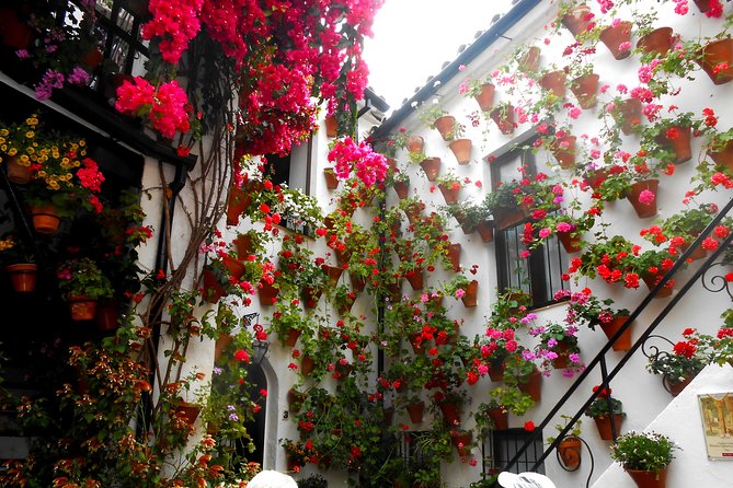 Discover the Patios of Córdoba: Guided Tour - Key Points