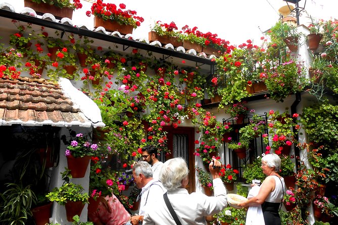 Discover the Patios of Córdoba: Guided Tour - Meeting and Pickup