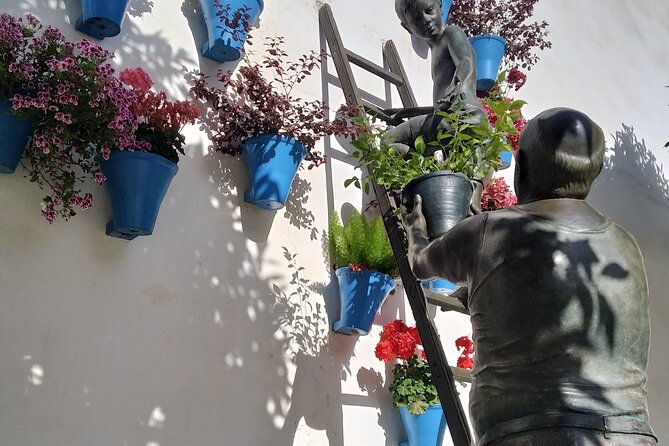 Discover the Patios of Córdoba: Guided Tour - Private Transportation Included