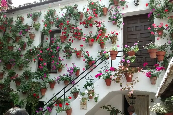 Discover the Patios of Córdoba: Guided Tour - Maximum of 20 Travelers