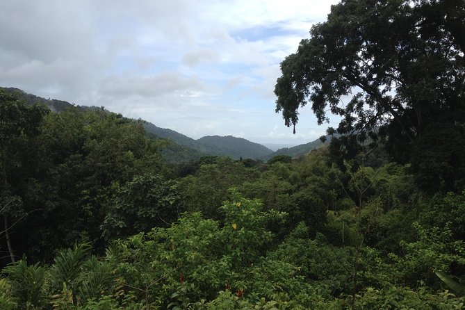 Discover the Rainforest - About Your Stay