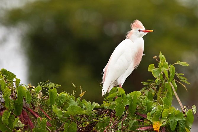 Discover the Rainforest - Tour Guides Expertise