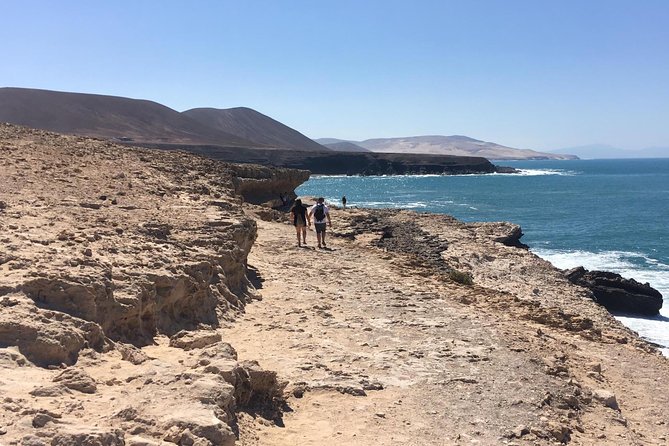 Discover the Real Fuerteventura: Extraordinary Paths Surrounded by Nature - Encounter Native Wildlife