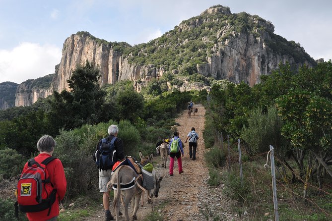 DISCOVER the SARDINIA, the WAYS of TRANSHUMANCES With ANES - Quick Points
