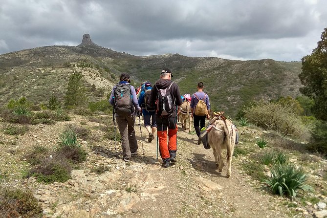 DISCOVER the SARDINIA, the WAYS of TRANSHUMANCES With ANES - Participant Requirements