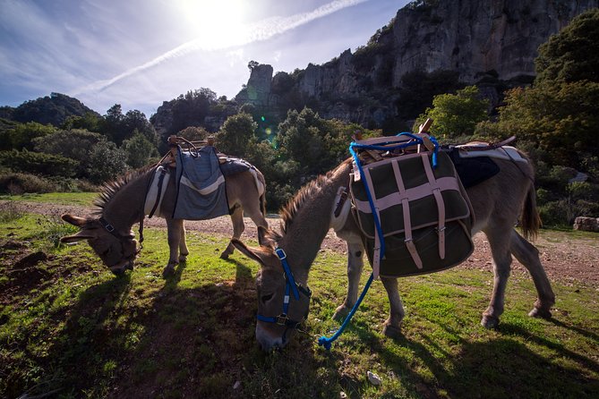 DISCOVER the SARDINIA, the WAYS of TRANSHUMANCES With ANES - Booking Information