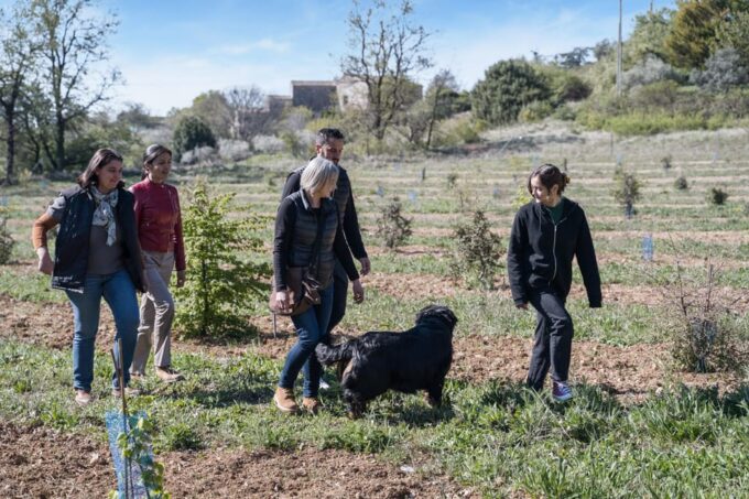 Discover the Secret World of Truffles - Duration and Pricing