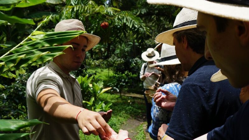 Discover the Secrets of Coffee, Cocoa, and Waterfall in Minca - Itinerary Highlights
