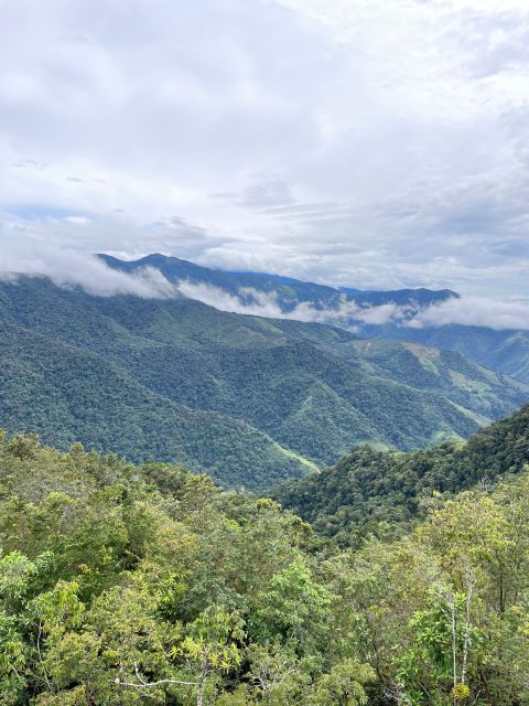 Discover the Secrets of Coffee, Cocoa, and Waterfall in Minca - Waterfall and Swimming Experience