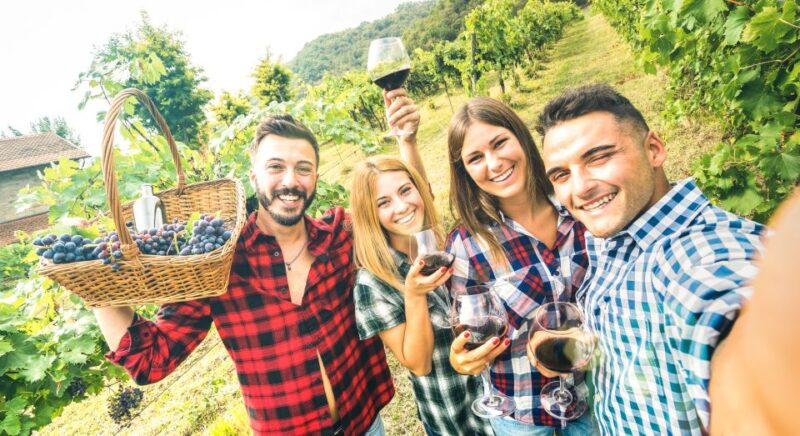 Discover the Secrets of Wine in the Algarve - Tour Logistics